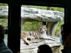 -北京野生动物园