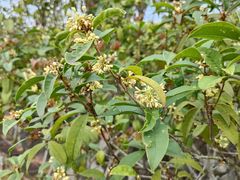 -中国移动南方基地