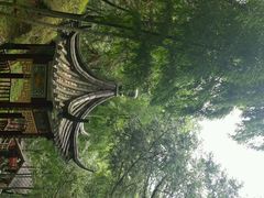 android_upload_pic-藏龙百瀑风景区