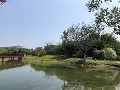 -福田红树林生态公园
