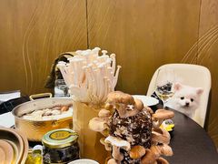 -斯普汇生蚝牛排馆(中骏世界城店)