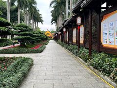 -金花茶公园
