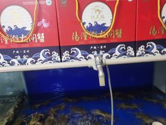 -阳澄湖大闸蟹·琼灵阁牌品牌连锁(吴中总店)
