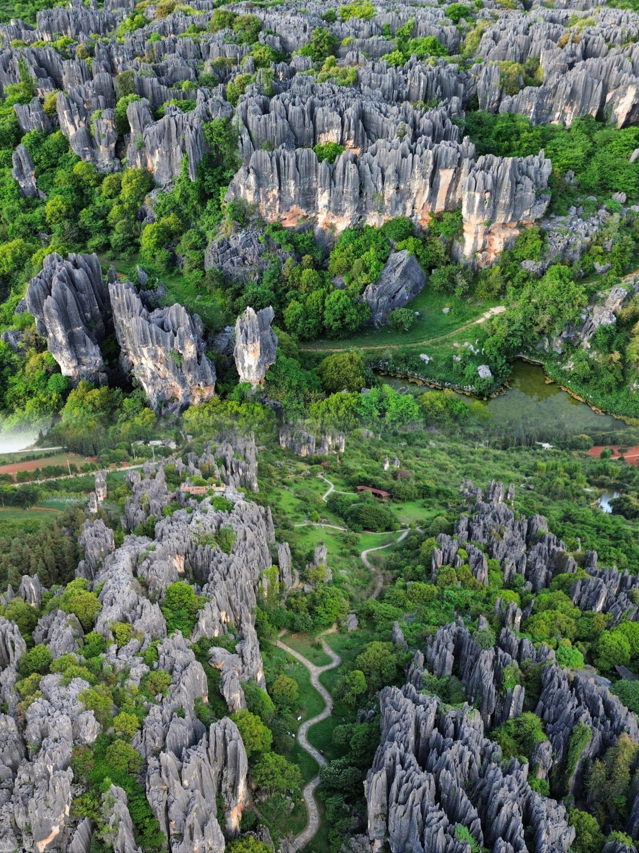 云南石林风景区介绍图片