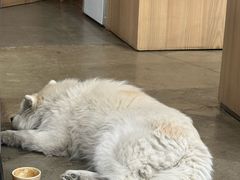 -VOYAGE COFFEE 咖啡烘焙工坊店(798艺术区店)