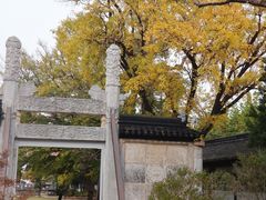 -苏州文庙(姑苏区)