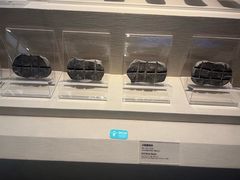 -张掖市博物馆