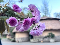 -天怡·鱼工厂(梅溪湖店)