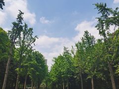 -苏州河梦清园环保主题公园