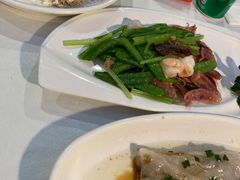 -云中小雅