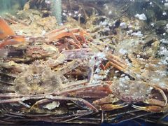 -蟹之国·精品蟹料理(极地店)