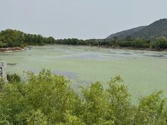 -函谷关历史文化旅游区