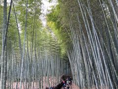 -天龙寺