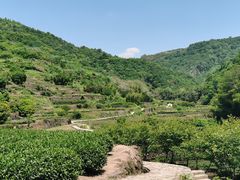 -十九峰景区-倒脱靴
