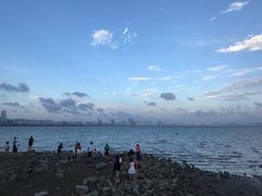景点-深圳湾公园(南山区)