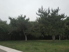 -北京国家会计学院