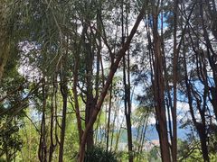 -墨江北回归线标志园