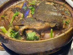 砂锅多宝鱼-常兴记广东小厨(浦东路店)