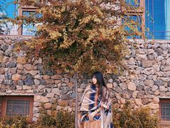 -玉湖村