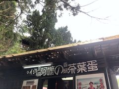 -金盆阿嬷香菇茶叶蛋(玄光店)