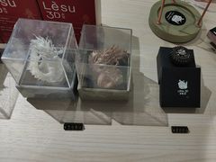 -乐物派3D打印体验工坊