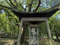 -兰亭风景区