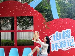 -凤凰汇购物中心