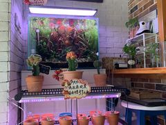 -向日葵十五度餐厅(昌平区店)