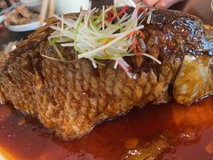 -津菜宋记老房子(鼓楼店)
