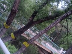 -黛秀湖公园