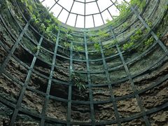 -中国西峡恐龙遗迹园