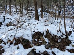 -阳台山自然风景区