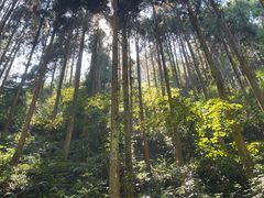 -刘伯温故里景区百丈漈