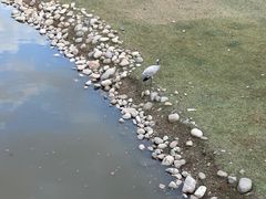 -北京麋鹿生态实验中心