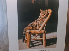 -卢米埃影城(合生广场IMAX店)