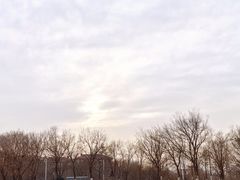 -北京张裕爱斐堡酒庄