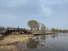 -野鸭湖国家湿地公园