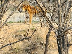 -石家庄市动物园