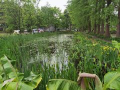 -东湖落雁景区