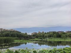 -前关湿地公园