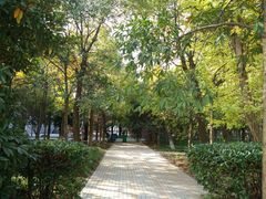 -堤角公园