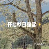 秋日露营季！睡帐篷、赏星空、围炉夜话，一起出发吧！