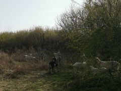 -明秦王墓遗址