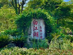 -广州白江湖森林公园