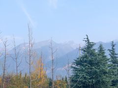 -少华山国家森林公园