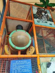 -寻石问宝研学亲子乐园(朝阳公园店)