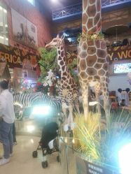 -卡通尼·Safari非洲探索乐园·生日会(金桥国际商业广场店)