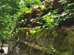 -善卷洞风景区