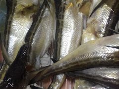 -元初食品(幸福e家小区店)