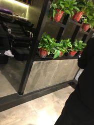 -时尚殿堂明星门店